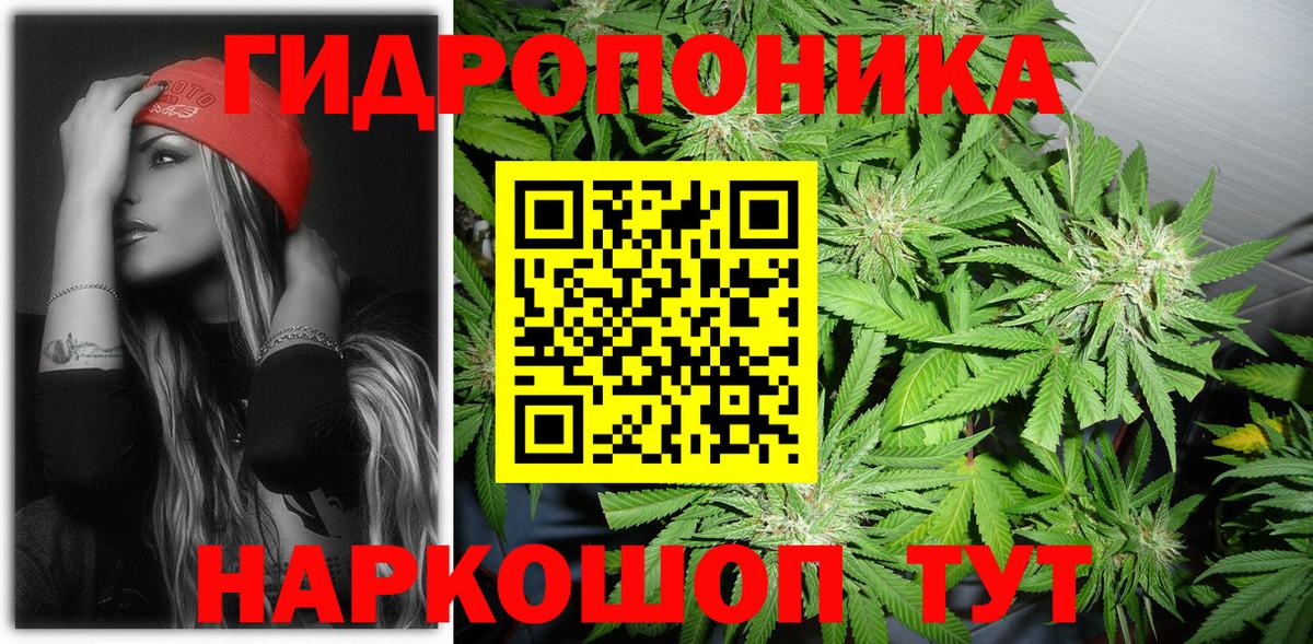 Егорьевск  Шишки марихуана конопля  Вход с VPN  Бошки марихуана марихуана  Бошки марихуана White Widow 
