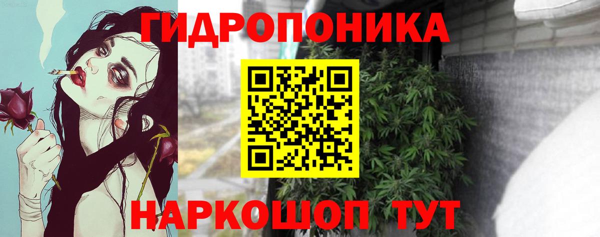 МАРИХУАНА семена Егорьевск